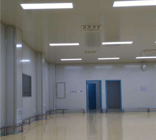 西安斯瑞新材料有限公司凈化車間